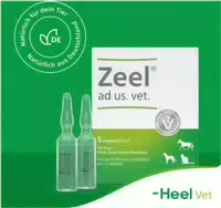 Zeel Ad Us Vet Ampullen 5x5 ml