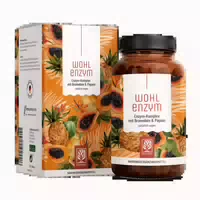 Enzym Komplex Mit Bromelain & Papain Wohlenzym 120 Vegane Kapseln Naturtreu 120 St