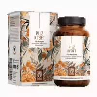 Pilz Komplex Mit Chaga, Reishi, Shiitake, Hericium & B Vitaminen Pilzkraft 120 Vegane Kapseln Naturtreu 120 St