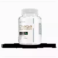 Zerex Chaga Extrakt 40% 1 g
