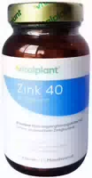 Zink 40 mg Vitalplant Kapseln
